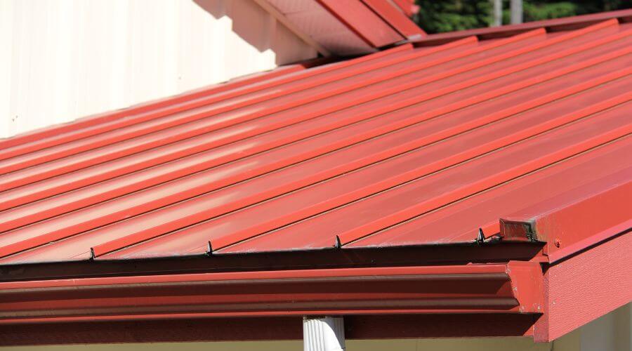 Roof Gutter Cleaning in Taunton, MN